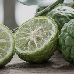 bergamot