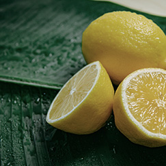 lemon